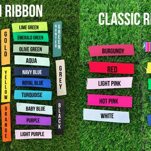 May include: Image showcasing a variety of satin and classic ribbons in various colors, including red, pink, green, and blue. The ribbons are displayed on a green background, with text labels identifying each color. The text "SATIN RIBBON" and "CLASSIC RIBBON" are at the top.