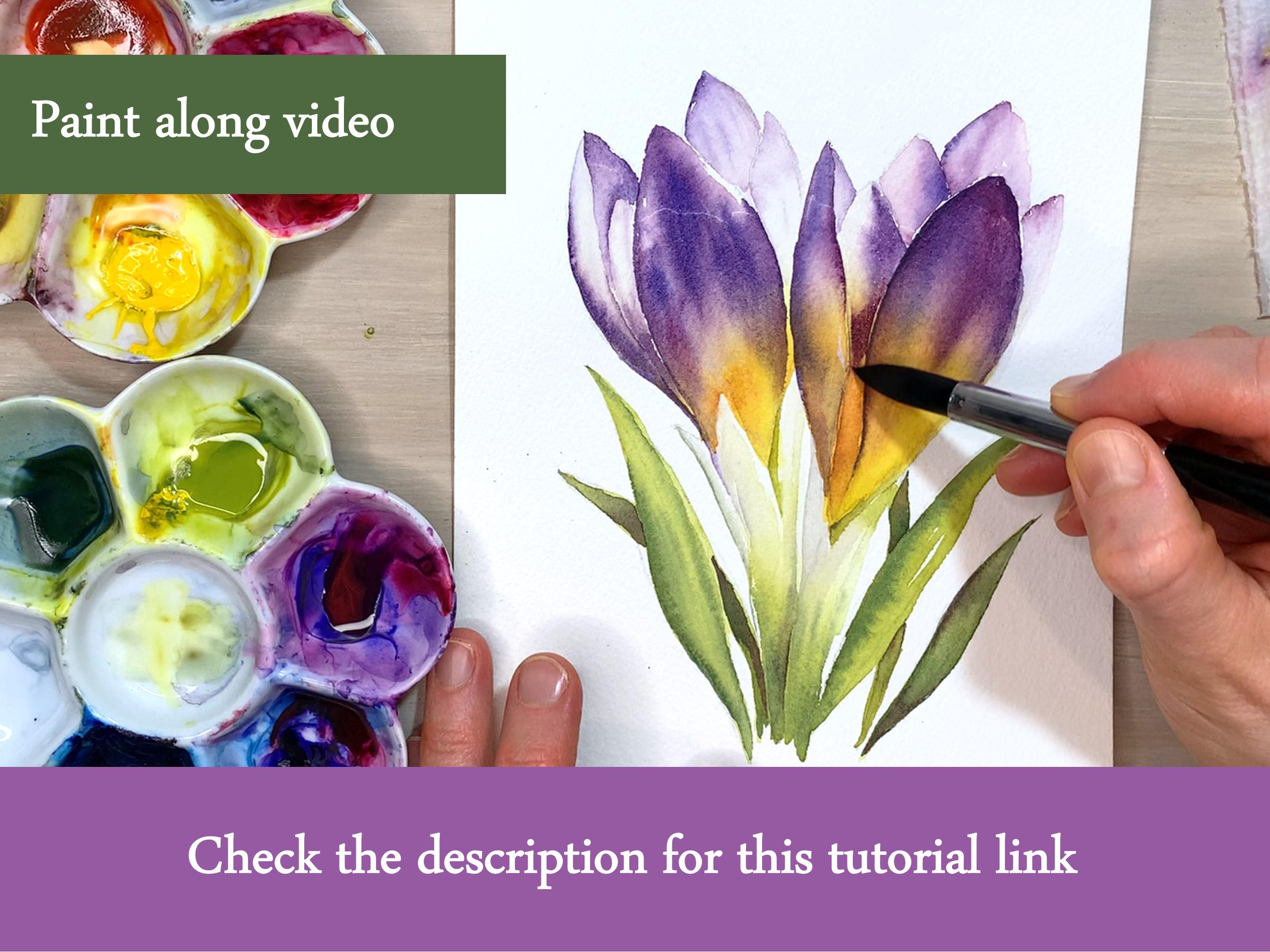 Crocus Flower Painting Outline, Watercolor & Watercolor Pencil ...