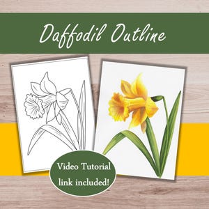 Puede incluir: Se muestran dos imágenes de narcisos. Una es un contorno en blanco y negro, y la otra es una pintura a la acuarela de un narciso amarillo con hojas verdes. El texto "Daffodil Outline" está en la parte superior, y un círculo verde con el texto "Video Tutorial link included!" está en la parte inferior.