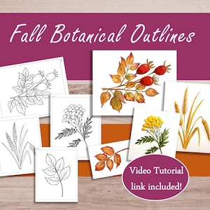 May include: A collection of botanical art prints featuring fall-themed illustrations. The images include detailed drawings of leaves, berries, and flowers in both color and black and white. Text on the image reads "Fall Botanical Outlines" and "Video Tutorial link included!"