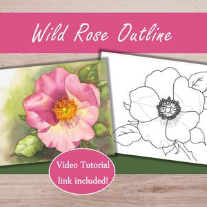 Puede incluir: Dos imágenes de una rosa silvestre. Una es una acuarela de una rosa rosa con un centro amarillo y hojas verdes. La otra es un contorno en blanco y negro de la misma rosa. El texto en la parte superior dice "Wild Rose Outline". Un círculo rosa en la parte inferior dice "Video Tutorial link included!"