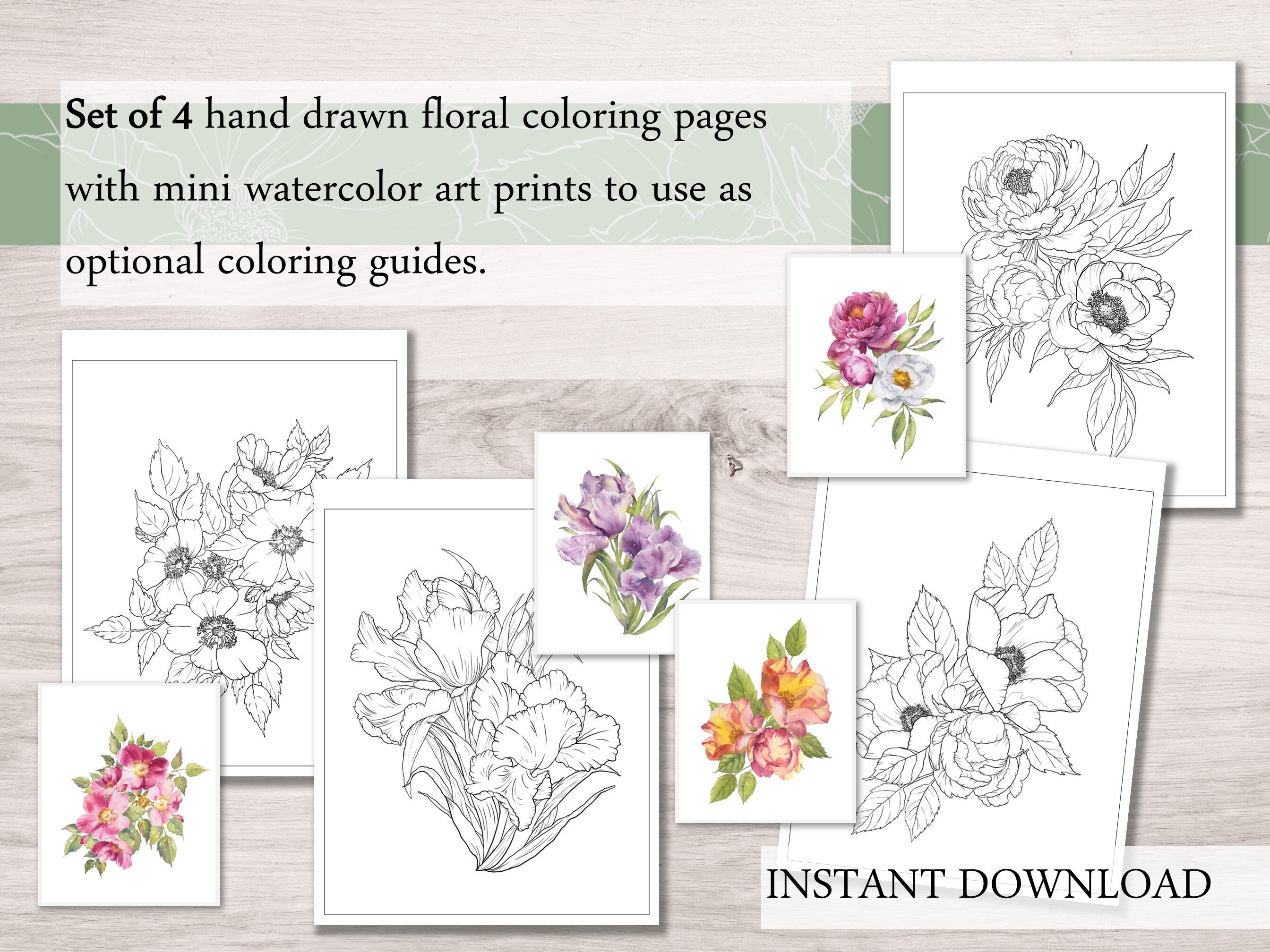 Floral Adult Coloring Pages Set of 4 Botanical Coloring - Etsy