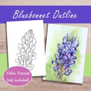 Puede incluir: Dos impresiones artísticas florales. Una es un contorno en blanco y negro de una flor de altramuz. La otra es una acuarela de un altramuz con pétalos morados y azules. El texto dice "Bluebonnet Outline" y "Video Tutorial link included!"