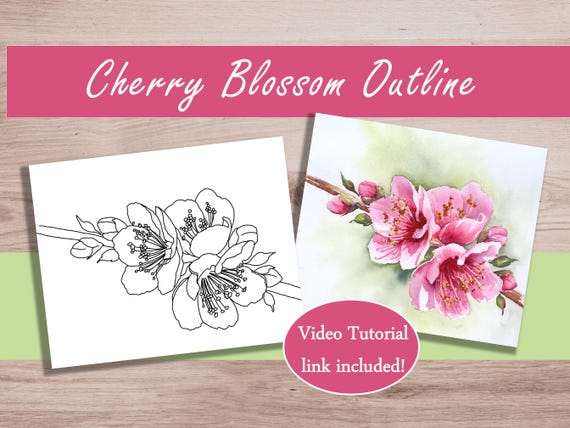 Flower Painting Outline to Trace, Floral Coloring Page March Birth Month Flower Card Cherry Blossom Printable Download & Watercolor Tutorial