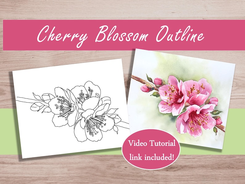 K&ouml;nnte beinhalten: Zwei Bilder von Kirschbl&uuml;ten. Eines ist eine Schwarz-Wei&szlig;-Umrisszeichnung, das andere eine Aquarellmalerei von rosa Bl&uuml;ten auf einem Zweig. Der Text "Cherry Blossom Outline" steht &uuml;ber den Bildern, und ein rosa Oval mit dem Text "Video Tutorial link included!" steht darunter.