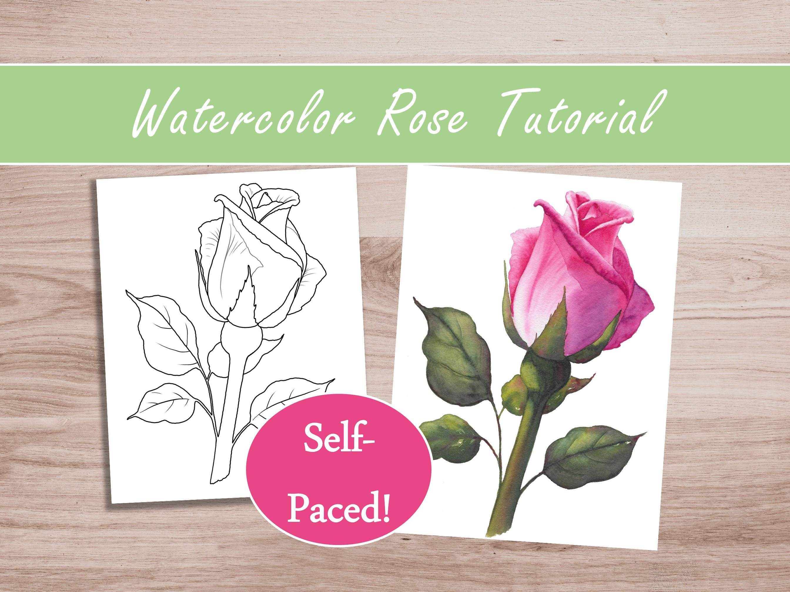 Paint a Realistic Single Stem Rose in Watercolor – Step-by-Step Video Instruction Self-Paced Class