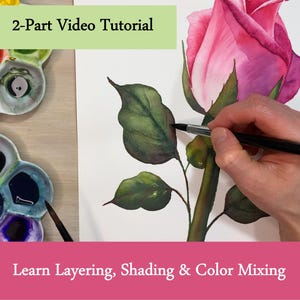 May include: A watercolour painting tutorial showing a pink rose and green leaves. The image includes a palette with various paint colours and the text "2-Part Video Tutorial" and "Learn Layering, Shading & Colour Mixing".
