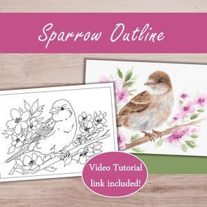 Bird Watercolor Practice Outline to Trace and Paint | Sparrow Watercolor Tutorial