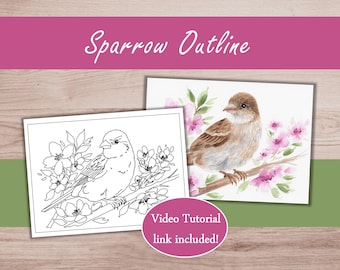 Bird Watercolor Practice Outline to Trace and Paint | Sparrow Watercolor Tutorial