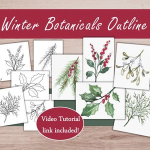 May include: A collection of botanical art prints featuring winter foliage, including holly, mistletoe, and pine branches. Some prints are in color, while others are outlined in black and white. The text "Winter Botanicals Outline" is at the top.