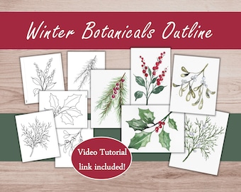 Puede incluir: Una colección de grabados botánicos con follaje de invierno, incluyendo acebo, muérdago y ramas de pino. Algunas impresiones son en color, otras están delineadas en blanco y negro. El texto "Winter Botanicals Outline" está en la parte superior.