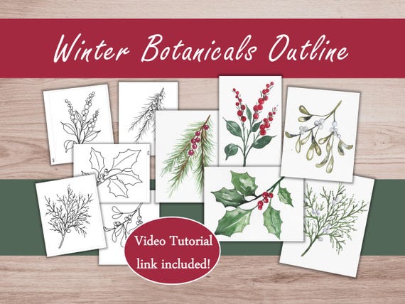 Christmas Botanical Painting Outline to Trace, Printable Download Winter Greenery & Berries Watercolor Tutorial Card or Coloring Page