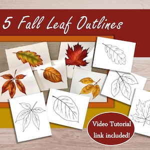 May include: Watercolor illustrations of fall leaves in various colors, including red, orange, and yellow, with some outlined in black. The text "5 Fall Leaf Outlines" is displayed above the leaves, with a video tutorial link included.