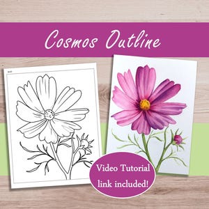 花の絵のアウトラインをトレース、コスモスの花の塗り絵ページを印刷してダウンロード、水彩画チュートリアル初心者向けアートチュートリアル
