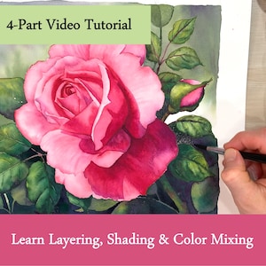 May include: A watercolor painting of a large pink rose with green leaves and buds. The image includes the text "4-Part Video Tutorial" and "Learn Layering, Shading & Color Mixing". A hand is holding a paintbrush, adding details to the painting.