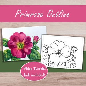 Puede incluir: Una impresión Primrose Outline con una acuarela de una flor de primavera magenta con hojas verdes junto a un dibujo de líneas en blanco y negro de la misma flor. Un óvalo rosa contiene el texto Video Tutorial link included!