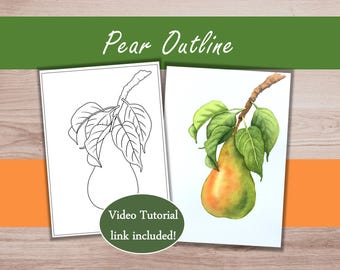 Pear Watercolor Practice Outline to Trace and Paint, Fruit Watercolor Tutorial Printable Download