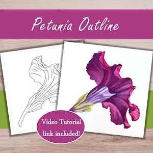 May include: Two square cards featuring a petunia flower. One card shows a black and white line drawing, while the other displays a vibrant purple and magenta watercolour painting of the same flower. Text reads Petunia Outline and Video Tutorial link included!