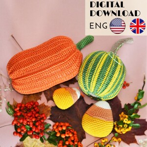 Può includere: Zucca all'uncinetto, mais dolce e foglie autunnali. Le zucche sono arancioni, verdi e gialle. Le foglie sono marroni e rosse. Il mais dolce è giallo, arancione e bianco.