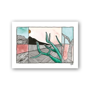 Branches et lueurs