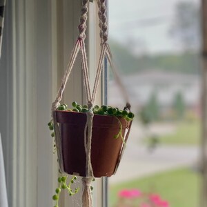 May include: A small green plant in a terracotta pot hanging from a macrame plant hanger. The plant is hanging in front of a window with a blurry view of green grass and pink flowers.
