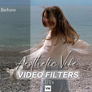 25 Aesthetic Vibe Mobile Video/Photo Filters LUTs color grading VN app Presets Travel Instagram blogger Lifestyle clean aesthetics