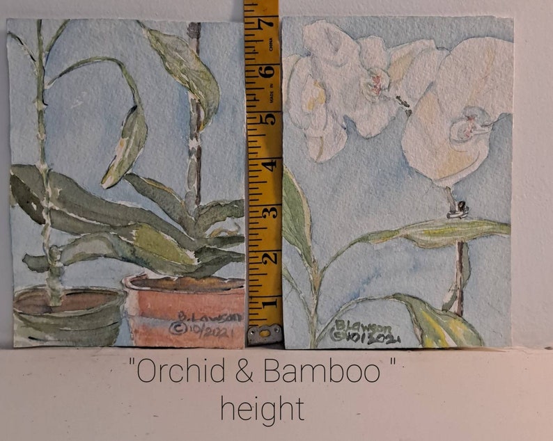 as is the green of bamboo Both are here Orchid and Bamboo-Orchids are a beautiful in these 2 watercolors that create one image.