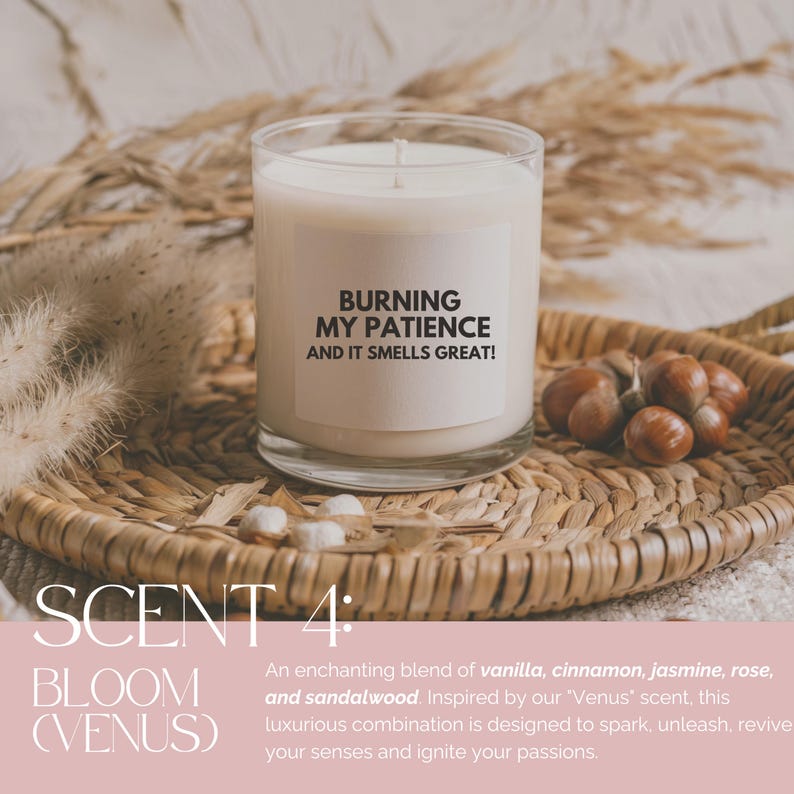 Funny Candle, Smells Like Candle Best Friend Gift, Candle Gift for Mom