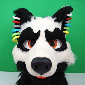 May include: A black and white furry animal head with a black nose and orange eyes. The head has a series of colorful rings around one ear.