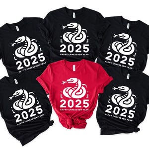 Happy Chinese New Year Shirt,2025 Snake Year T-Shirts, Chinese Lunar New Year Party Sweatshirt,Chinese Zodiac Women Shirt, Gift For New Year