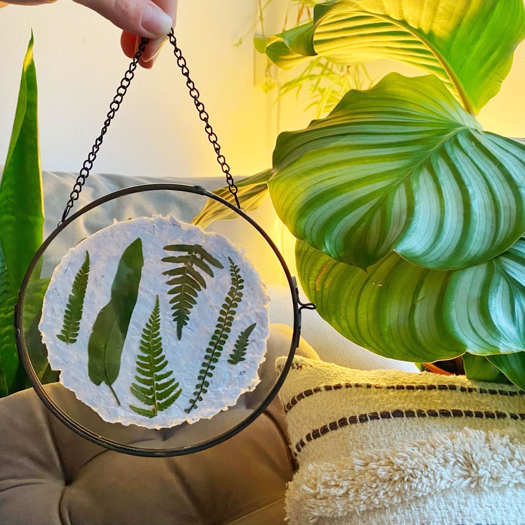Pressed Ferns in Round Double Glass Frame / Wall Art on Handmade