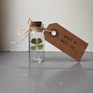 Real four leaf clover | UV-protected + Keeps its shape | Dried/pressed genuine 4 leaf clover | Lucky charm | Shamrock in glass bottle