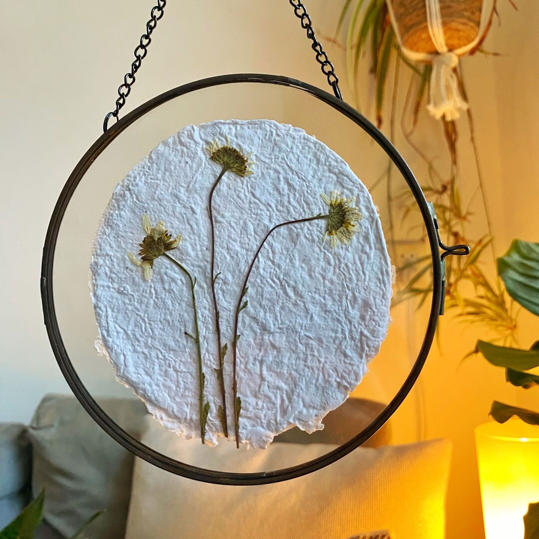 Pressed Flowers in Round Double Glass Frame / Wall Art on Etsy