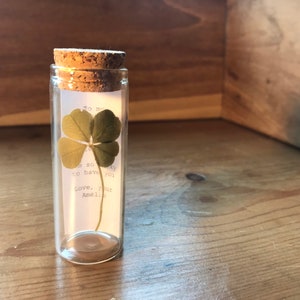 Personal message real four leaf clover, five leaf clover or six leaf clover in glass bottle | personalised gift