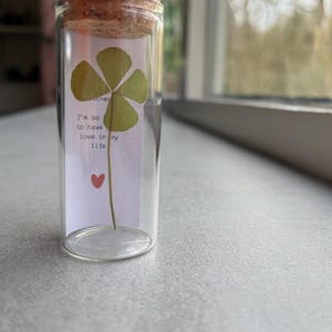 Personal message real four leaf clover | Personalised gift
