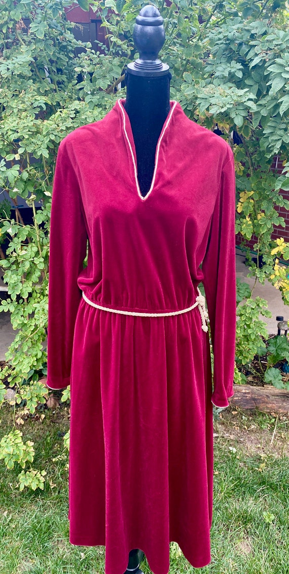 Vintage JSE Inc California Burgundy Velour Dress,… - image 2