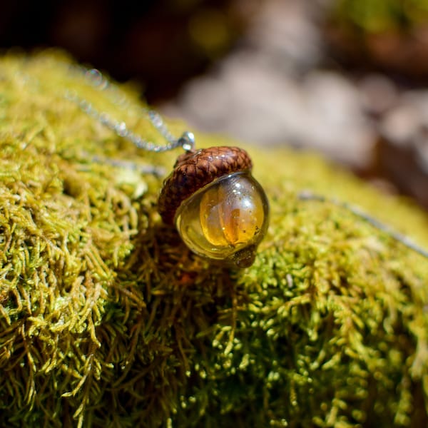 Collier "Korogu", pendentif en résine, véritable cupule de gland, inclusion de bille de verre, oeil de chat jaune et orange