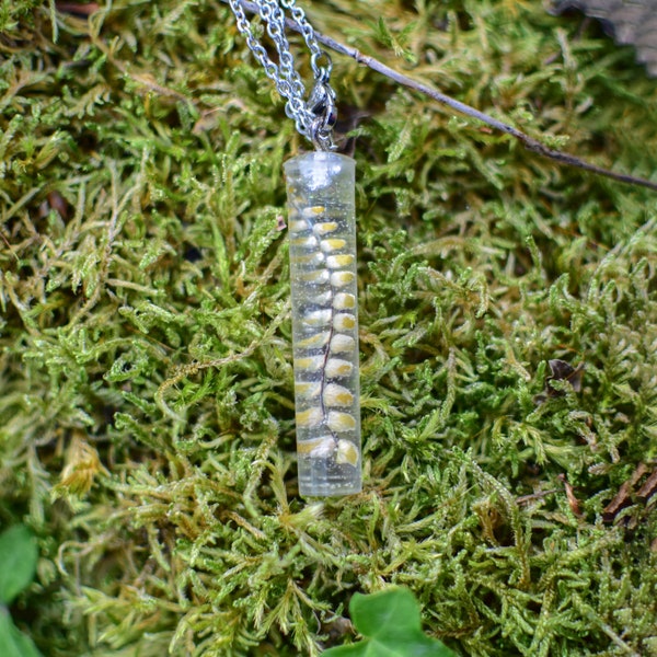 Collier pendentif tube cylindre en résine époxy avec inclusion de fougère