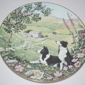 Könnte beinhalten: Dekorative Platte mit einer idyllischen Szene mit zwei schwarz-weißen Border Collies. Die Platte zeigt ein grünes Tal mit einem Bauernhaus, Schafen und einer Person. Rosa Blumen und Vögel sind ebenfalls vorhanden, mit einem goldenen Rand.
