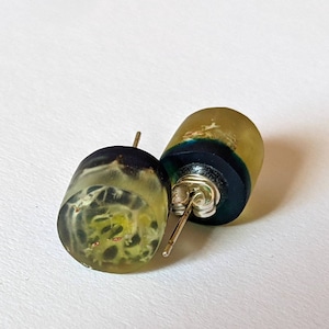 Real Lichen Stud Earrings; Unique Lichen Jewellery; nature earrings; woodland earrings; botanical earrings; botanical jewellery