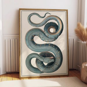 May include: A framed wall art print featuring a detailed illustration of a coiled blue snake with dark scale patterns on a cream-colored background. The snake is depicted in a winding, serpentine position with its head visible at the bottom center.