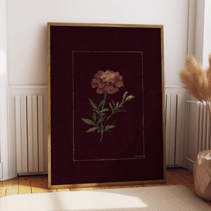 Goudsbloem Art Print, vintage goudsbloemposter, humeurige bordeauxrode bloemen muurkunst, antieke botanische illustratie, schilderij donkeroranje bloei