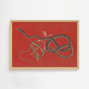 affiche serpent vintage, oeuvre d'art murale sorcière, impression de dessin botanique, impression académique sombre, décoration murale maximaliste, impression animalière gothique, art serpent