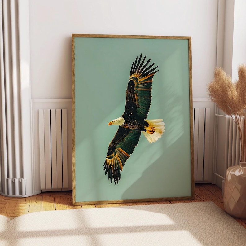 Pu&ograve; includere: Stampa incorniciata raffigurante un'aquila calva in volo. L'aquila ha piume marroni, bianche e gialle, con la testa bianca e il becco giallo. Lo sfondo &egrave; di colore verde acqua chiaro e la cornice &egrave; in legno.