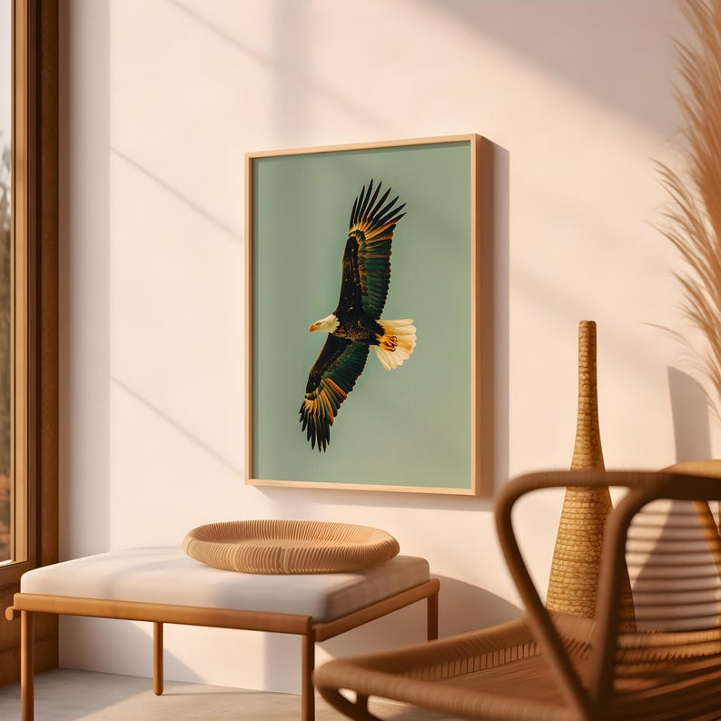 Pu&ograve; includere: Una stampa incorniciata di un'aquila calva in volo. L'aquila ha piume marroni scure, bianche e gialle. Lo sfondo &egrave; verde chiaro e la cornice &egrave; di colore legno chiaro. La stampa &egrave; appesa a una parete bianca.