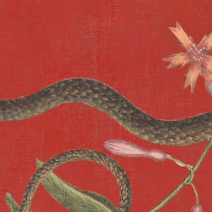 May include: A brown snake winding around a red background with a pink flower and green leaves.