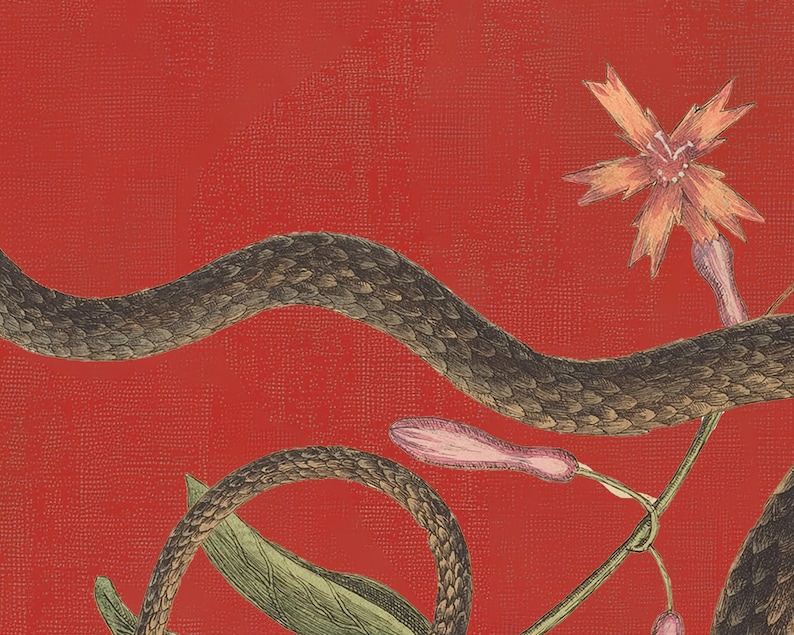May include: A brown snake winding around a red background with a pink flower and green leaves.