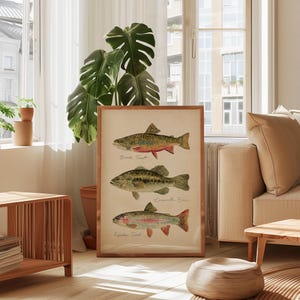 Puede incluir: Un estampado enmarcado con ilustraciones en acuarela de tres especies de peces: trucha de arroyo, lubina y trucha arco&iacute;ris. La obra de arte tiene una est&eacute;tica vintage, con los peces representados en detalle sobre un fondo neutro.