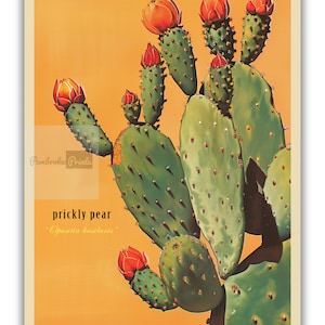 Lámina vintage de cactus de nopal, lámina del desierto de Sonora, póster retro para exteriores, arte de pared para cabaña de Arizona, cactus botánicos del desierto imagen 6