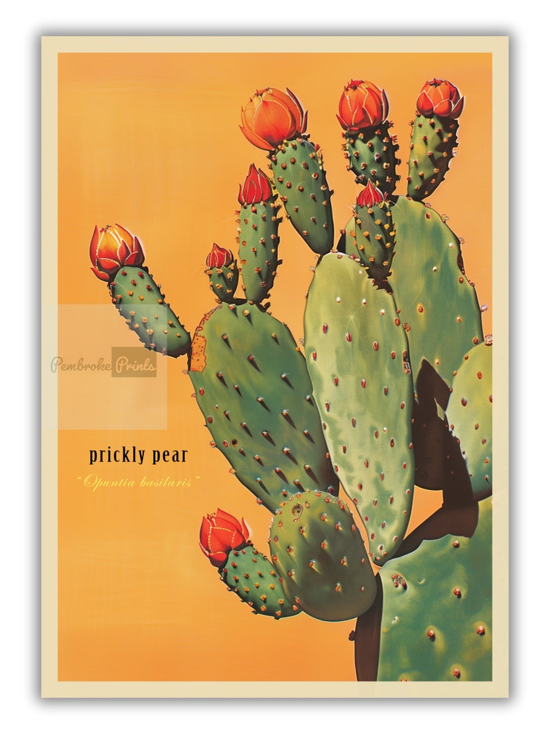 Lámina vintage de cactus de nopal, lámina del desierto de Sonora, póster retro para exteriores, arte de pared para cabaña de Arizona, cactus botánicos del desierto imagen 6